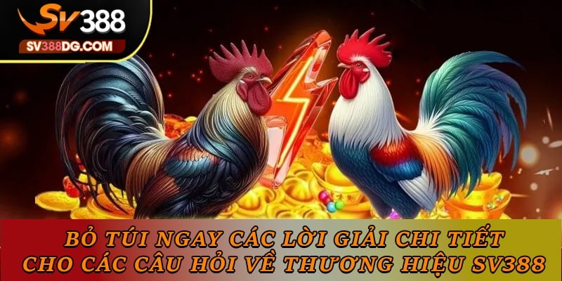 Bỏ túi ngay các lời giải chi tiết cho các câu hỏi về thương hiệu SV388 Bỏ túi ngay các lời giải chi tiết cho các câu hỏi về thương hiệu SV388
