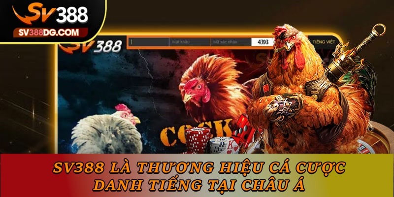 SV388 là thương hiệu cá cược danh tiếng tại châu Á SV388 là thương hiệu cá cược danh tiếng tại châu Á